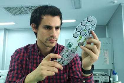 El ingeniero biomédico Facundo Noya creó una plantilla pensada para personas con diabetes, con el objetivo de detectar de forma preventiva infecciones y evitar amputaciones