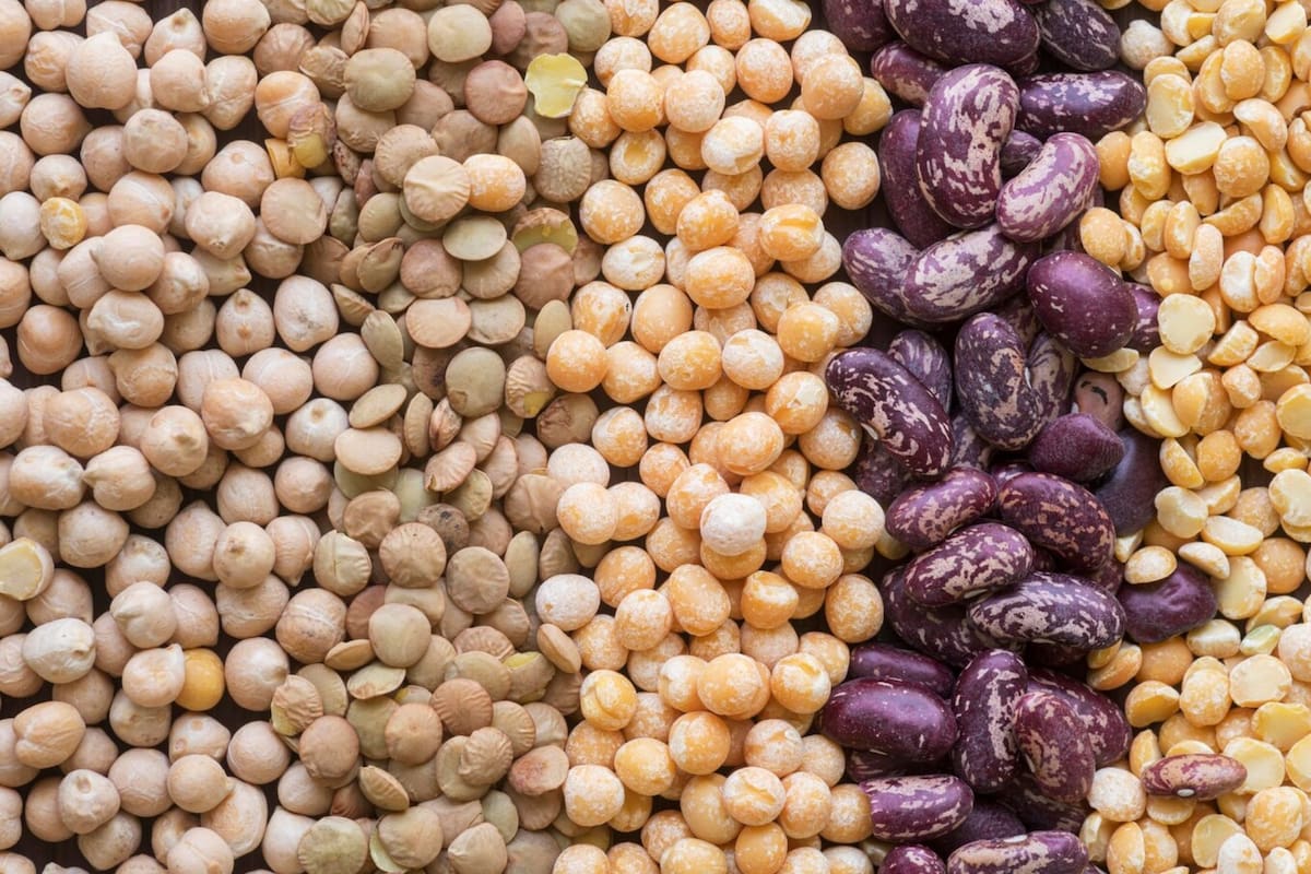 El ingrediente nutritivo que favorece el cerebro y prolonga la sensación de saciedad