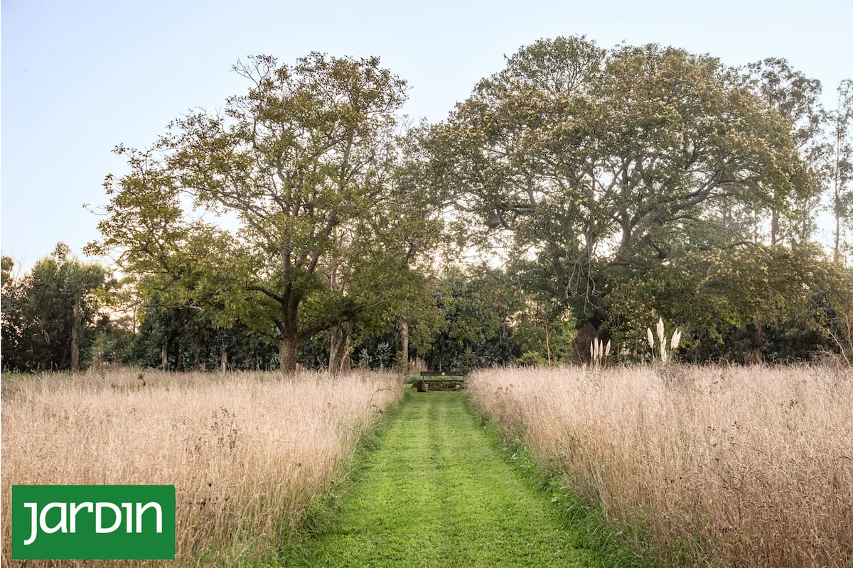 El ingreso a una placita de nogales y castaños a través de una pradera