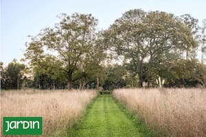 El ingreso a una placita de nogales y castaños a través de una pradera