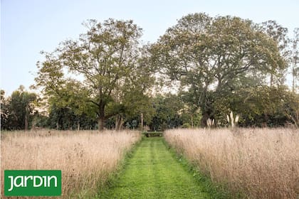 El ingreso a una placita de nogales y castaños a través de una pradera
