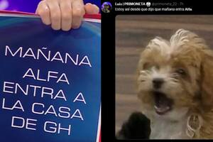 El ingreso de Alfa causa furor en las redes (CapturaTwiiter)