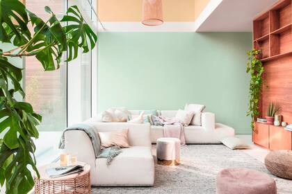 El ingreso de la luz, al igual que la presencia de las plantas, ayuda a mejorar el estado de ánimo y tienen un impacto directo en la productividad