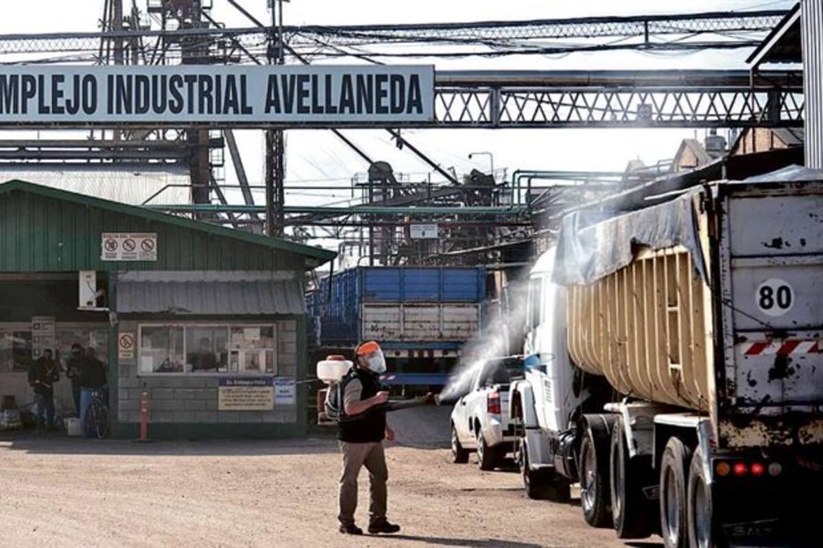 El ingreso de la planta de Vicentin, ayer, en Avellaneda, Santa Fe