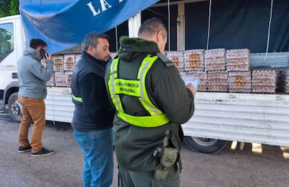 El ingreso ilegal de huevos creció más de un 600%, según CAPIA