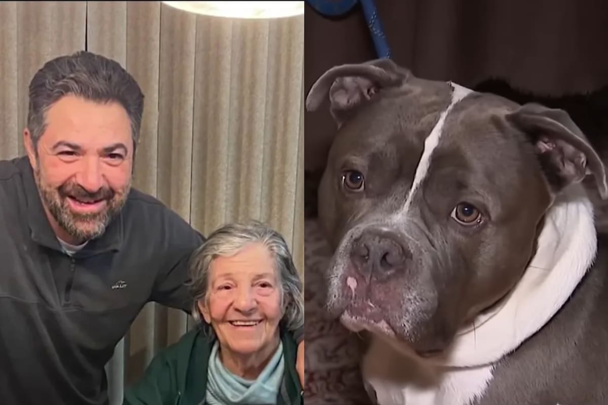 El inmigrante iraní posa junto a su madre; acaba de ser detenido por el ICE cuando salió a pasear tu perro