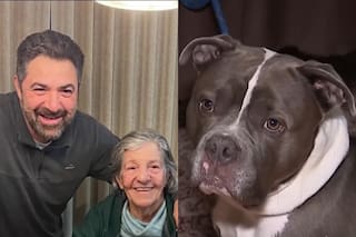 Vive hace 40 años en EE.UU: y tiene green card, pero sacó a pasear a su perro Duke y el ICE lo detuvo