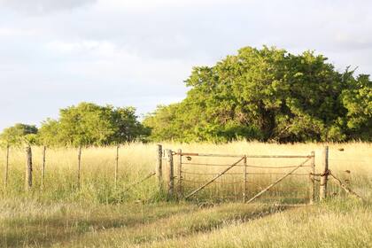 El inmobiliario rural que cobran las provincias registró subas este año de entre 180% a 250%