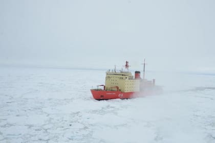 El Instituto Argentino Antártico (IAA) logró imágenes nítidas del témpano.