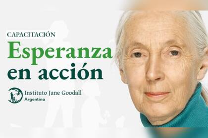 El Instituto Jane Goodall ofrece cursos gratuitos online y abiertos para todos