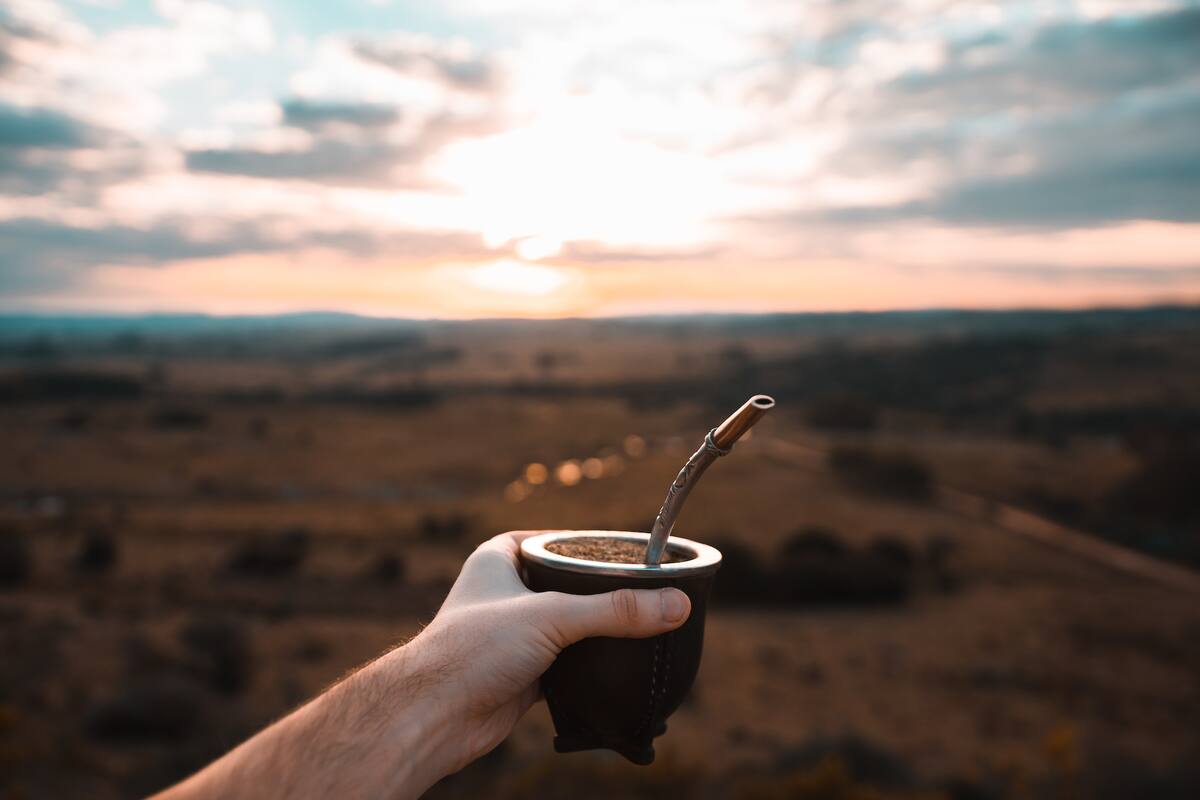 El Instituto Nacional de la Yerba Mate (INYM) llamó “pícaros a aquellos que pretenden sacar ventajas” con el negocio ilegal de los palitos de yerba mate