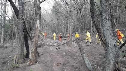 El Inta advierte que la superficie quemada se aproxima al récord y que la temporada de incendios no terminó.