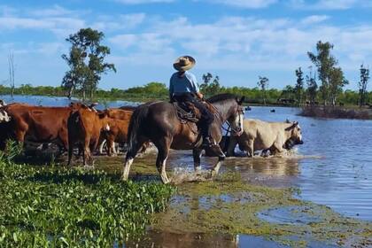 El INTA brindó una serie de pautas para evitar percances ante la crecida de los ríos