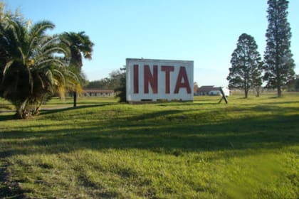 El INTA en Cerrillos, Salta, donde el Gobierno decidió ceder 41 hectáreas al gobierno de Salta para viviendas