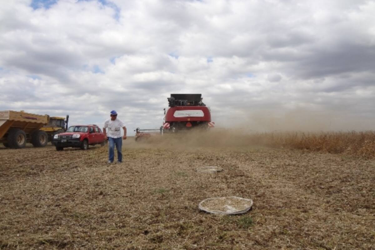 El INTA propone bajar las pérdidas y para ello hará una capacitación virtual el próximo martes