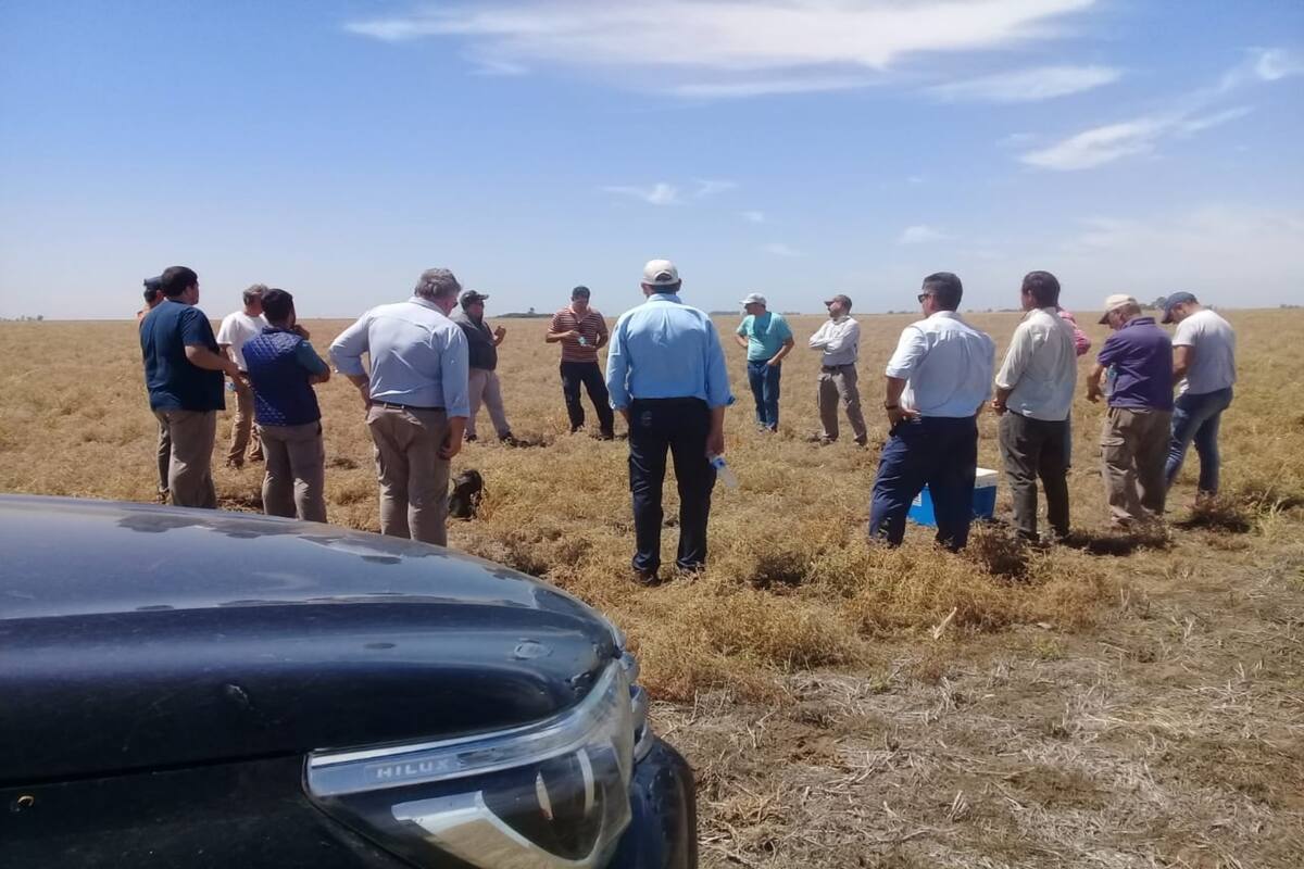 El INTA tiene un rol clave en la extensión con reuniones a campo