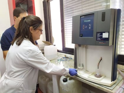 El INTA trabaja con 16 empresas vinculadas al desarrollo de esta cadena