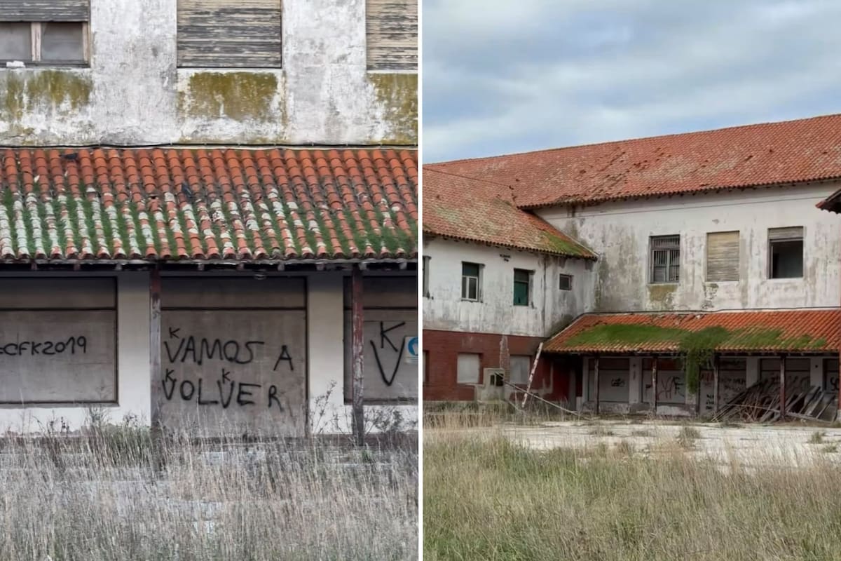 El intendente Montenegro compartió imagenes sobre el estado de parte del predio