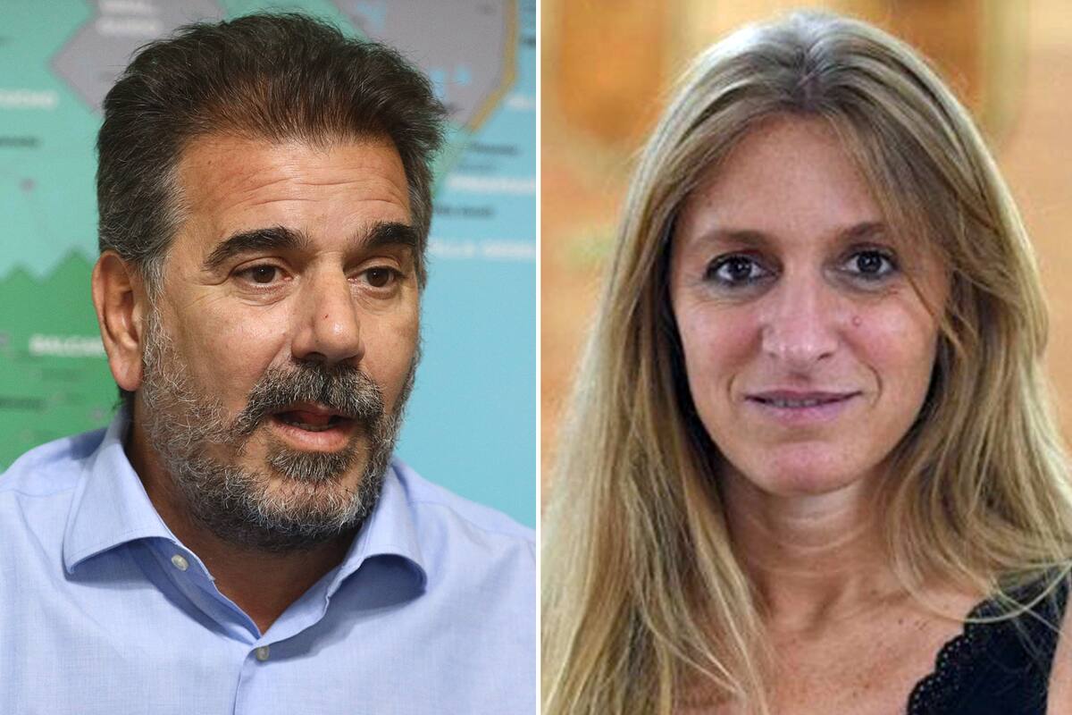 El intenso cruce entre Ritondo y Carignano por Milman y el atentado a Cristina