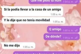 Cómo creen los investigadores que fueron trasladados los restos y cómo reaccionó su madre
