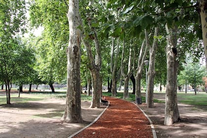 El interior de la plaza en pleno barrio Versalles