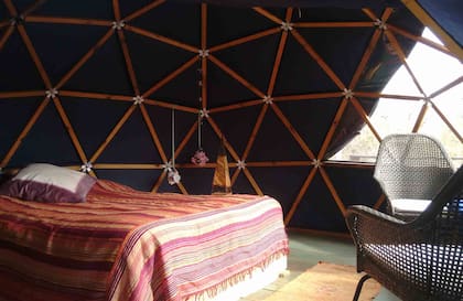 El interior del domo de la selva, en el Delta.