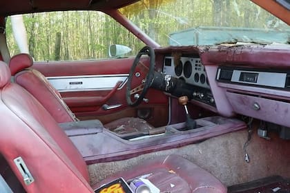 El interior del Ford Mustang Cobra se encontraba en buen estado aunque, aseguró el mecánico, necesitará reparaciones