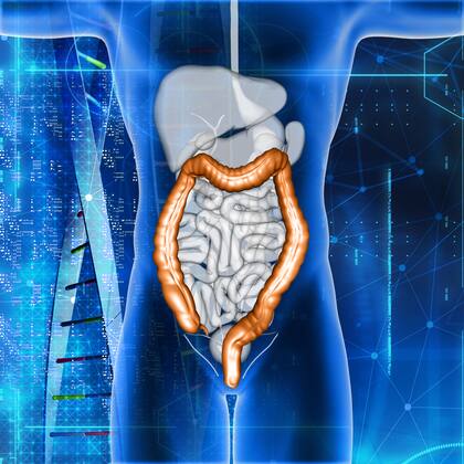 El intestino detecta los microbios que influyen en todo, tanto en el apetito como en el estado de ánimo (Foto de carácter ilustrativa: Freepik)