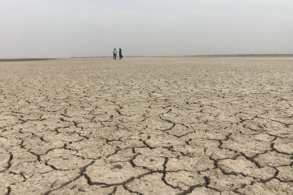 El invento recoge y filtra el agua que escasea cuando hay sequía.