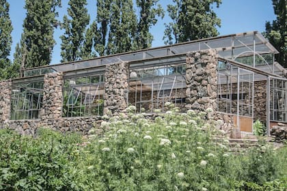 El invernáculo de piedra fue diseñado originalmente para cultivar verduras. Hoy es el corazón del emprendimiento. Allí, Luciana adelanta algunas flores de primavera y cultiva hojas tropicales sensibles al frío.