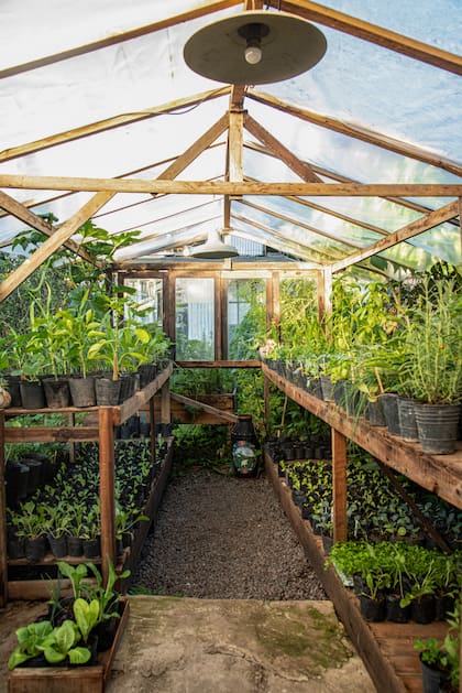 El invernadero, clave a la hora de refugiar los plantines