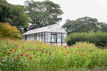 El invernadero de la Estancia La Paz, uno de los rincones favoritos de Ernestina Anchorena.