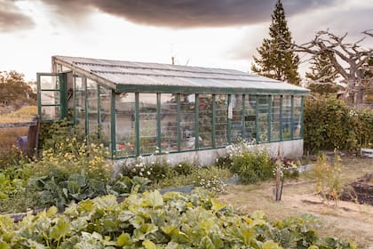 El invernadero de Quinta Pionera en Estancia Viamonte.
