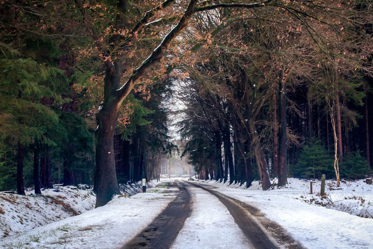 El invierno en Estados Unidos comienza este diciembre