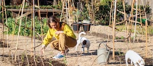 Por qué los jardineros esperan el invierno para tomar las decisiones más importantes