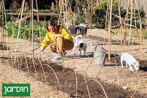 Por qué los jardineros esperan el invierno para tomar las decisiones más importantes