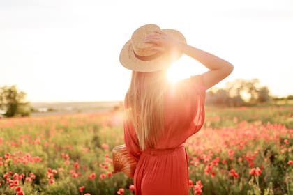 El invierno terminará dentro de unas semanas y dará paso a la primavera (Web/Freepik)