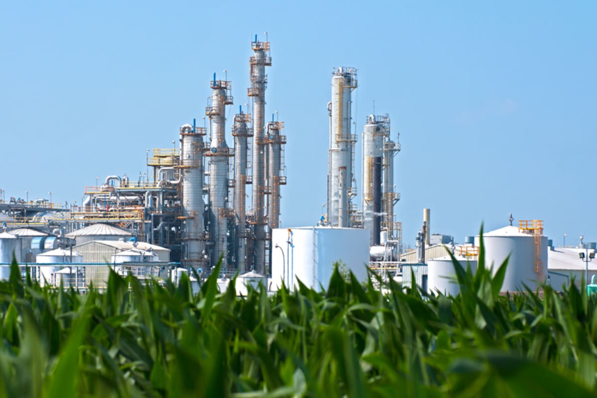 El IPCC recomienda cautela con los biocombustibles, que pueden acaparar tierra vital para la producción de alimentos.