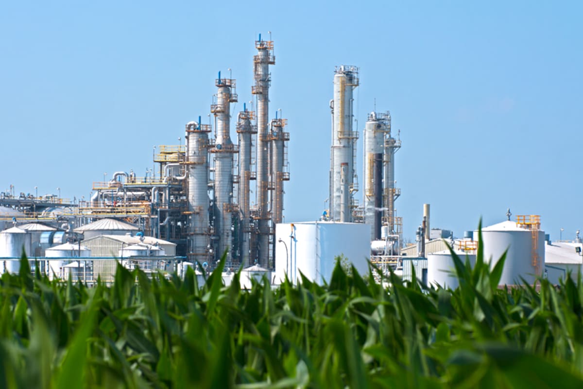 El IPCC recomienda cautela con los biocombustibles, que pueden acaparar tierra vital para la producción de alimentos.