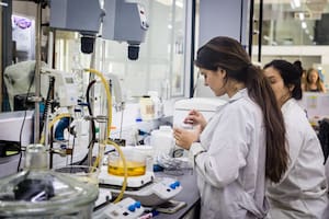 El ITBA busca integrar la biología molecular, la ingeniería y la ciencia de datos en una nueva carrera que abrirá el año próximo