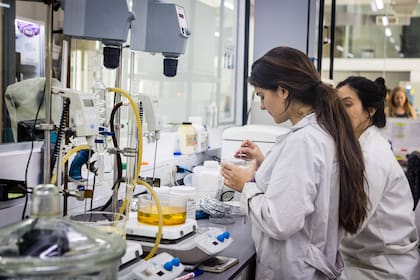 El ITBA busca integrar la biología molecular, la ingeniería y la ciencia de datos en una nueva carrera que abrirá el año próximo