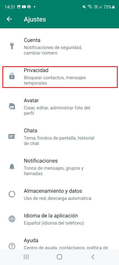 El ítem "Privacidad" tiene todas las funciones del "modo incógnito"