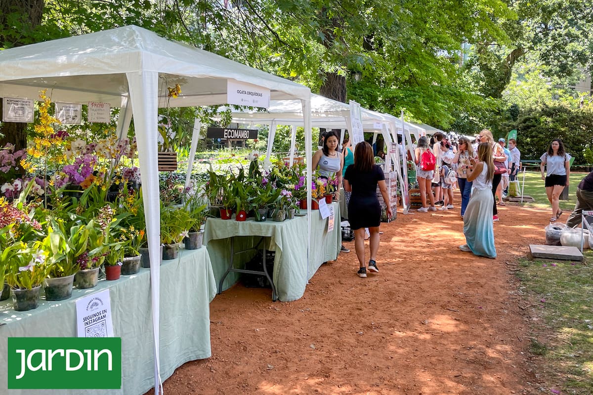 El Jardín Botánico Carlos Thays, un espacio único ideal para pasear este fin de semana largo