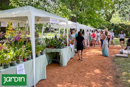 El Jardín Botánico Carlos Thays, un espacio único ideal para pasear este fin de semana largo