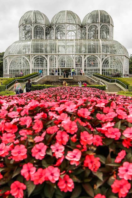 El jardín contiene numerosos especímenes de plantas de Brasil y otros países, diseminados por centros comerciales e invernaderos de vidrio y hierro, el principal con tres bóvedas de estilo Art Nouveau inspiradas en el Palacio de Cristal de Londres del siglo XIX.