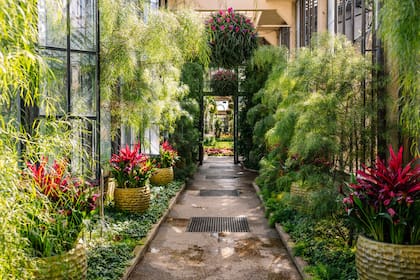 El jardín botánico de Pensilvania cuenta con una variedad de plantas y flores
