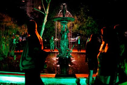 El Jardín Botánico iluminado en la noche del 8 de marzo.