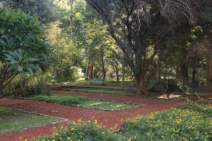 El Jardín Botánico se extiende en 7 hectáreas verdes en medio de la Ciudad de Buenos Aires