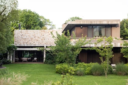 El jardín con un cantero curvo que abraza la habitación principal, donde encontramos un mar de Pittosporum tobira ‘Nana’ y tres ejemplares multitronco de Acer buergerianum que dan interés en otoño.