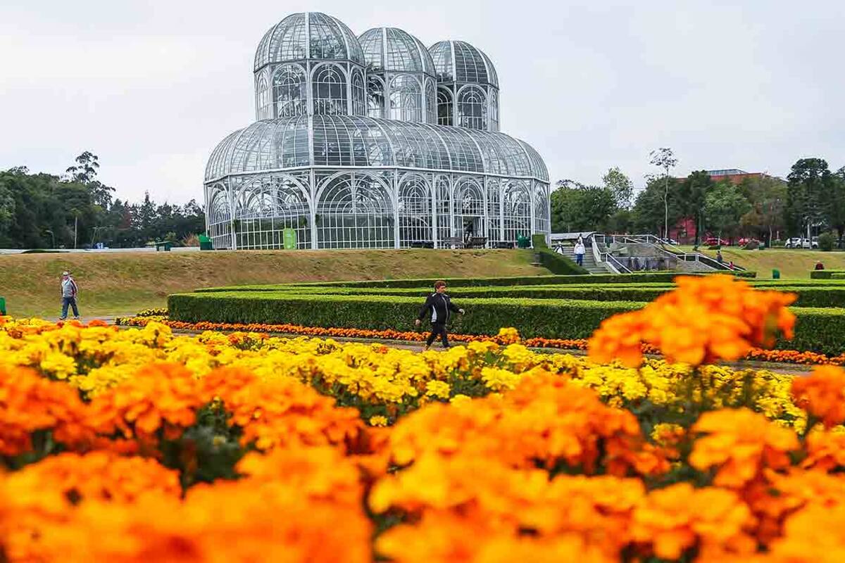 El Jardín Botánico contiene numerosos especímenes de plantas de Brasil y otros países, diseminados por centros comerciales e invernaderos de vidrio y hierro, el principal con tres bóvedas de estilo Art Nouveau inspiradas en el Palacio de Cristal de Londres del siglo XIX.